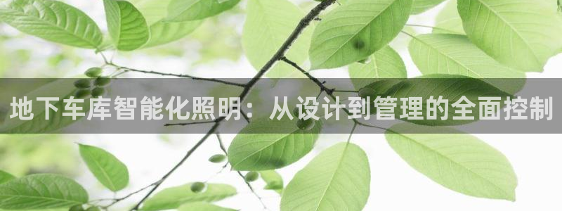 地下车库智能化照明：从设计到管理的全面控制