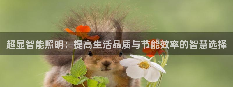 超显智能照明：提高生活品质与节能效率的智慧选择