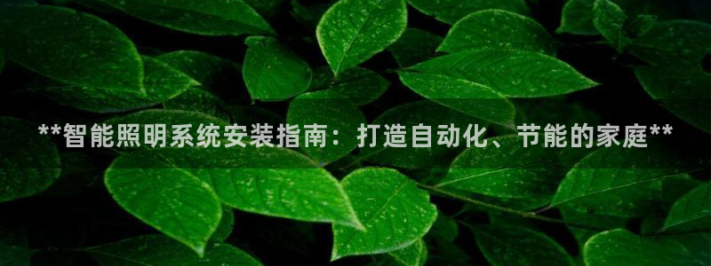 **智能照明系统安装指南：打造自动化、节能的家庭**