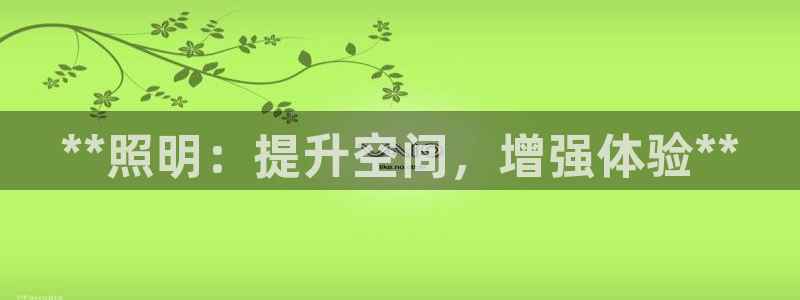 **照明：提升空间，增强体验**