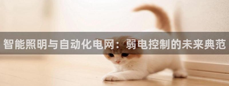 智能照明与自动化电网：弱电控制的未来典范