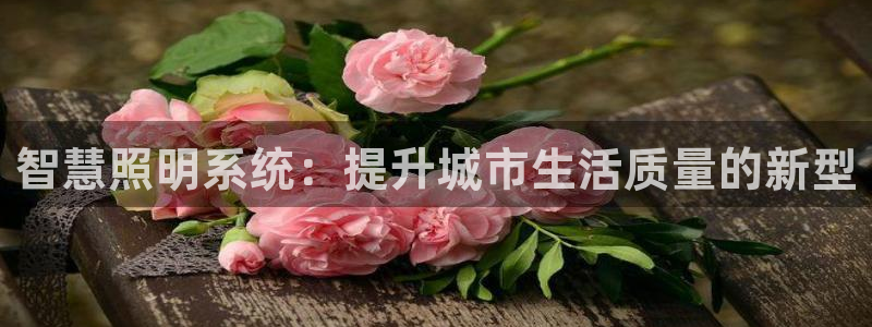 智慧照明系统：提升城市生活质量的新型