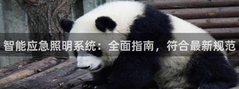 智能应急照明系统：全面指南，符合最新规范