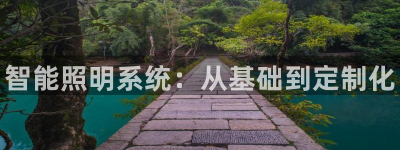 智能照明系统：从基础到定制化