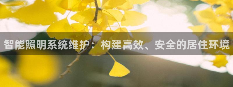 智能照明系统维护：构建高效、安全的居住环境