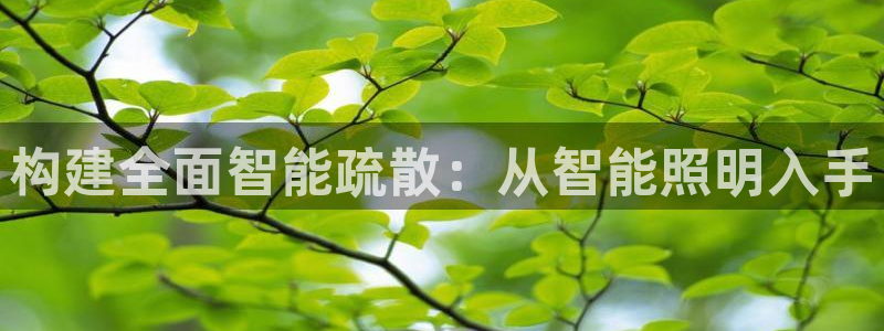 构建全面智能疏散：从智能照明入手