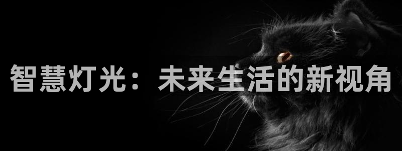 智慧灯光：未来生活的新视角