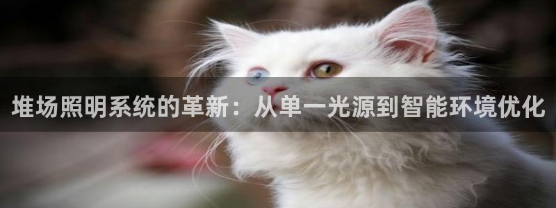 堆场照明系统的革新：从单一光源到智能环境优化