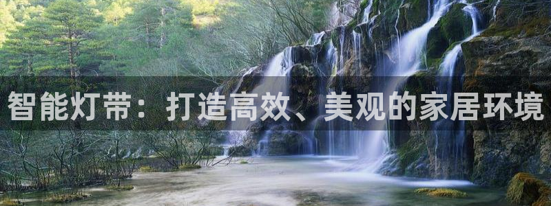 智能灯带：打造高效、美观的家居环境