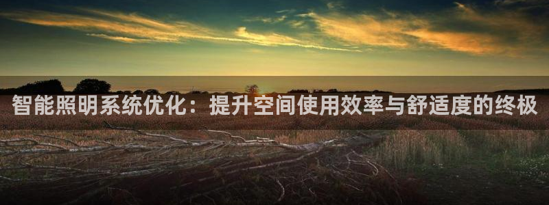 智能照明系统优化：提升空间使用效率与舒适度的终极