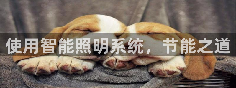 使用智能照明系统，节能之道