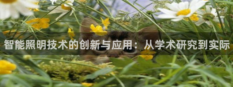 智能照明技术的创新与应用：从学术研究到实际
