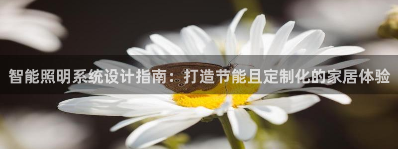 智能照明系统设计指南：打造节能且定制化的家居体验