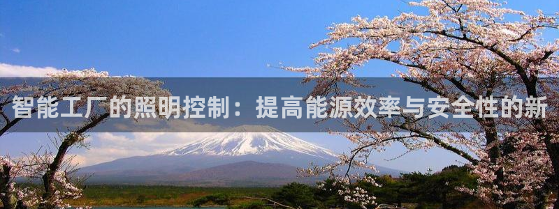 智能工厂的照明控制：提高能源效率与安全性的新