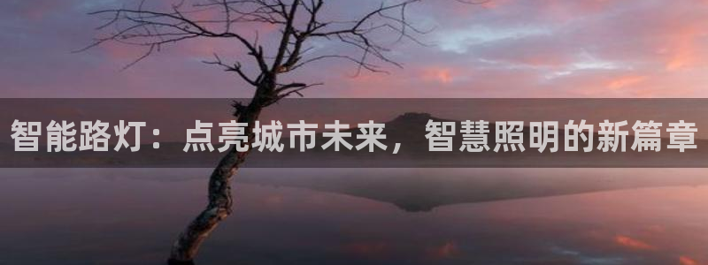 智能路灯：点亮城市未来，智慧照明的新篇章