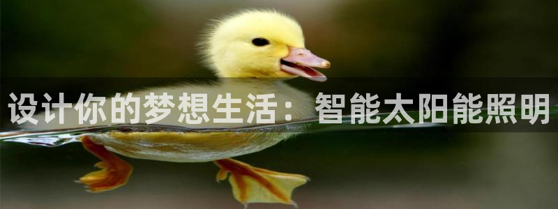 设计你的梦想生活：智能太阳能照明