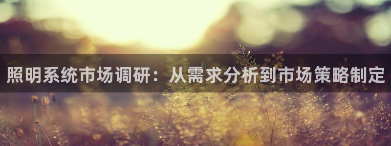 照明系统市场调研：从需求分析到市场策略制定