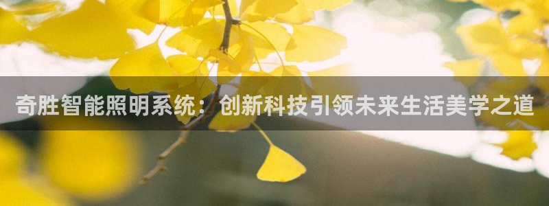 奇胜智能照明系统：创新科技引领未来生活美学之道