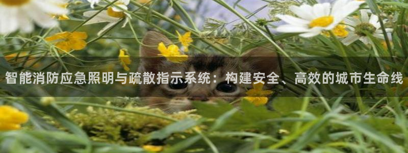 智能消防应急照明与疏散指示系统：构建安全、高效的城市生命线