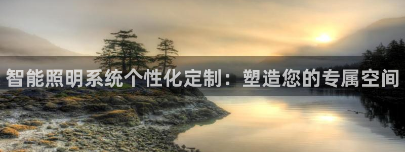 智能照明系统个性化定制：塑造您的专属空间