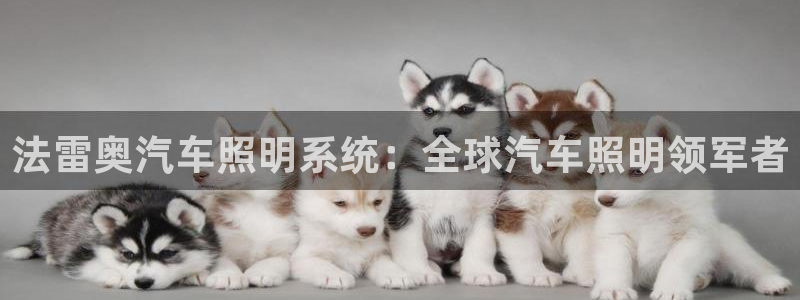 法雷奥汽车照明系统：全球汽车照明领军者