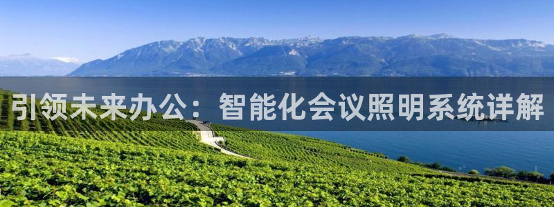 引领未来办公：智能化会议照明系统详解