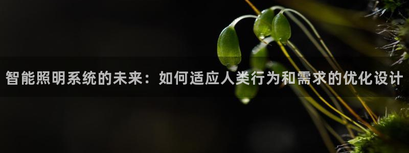 智能照明系统的未来：如何适应人类行为和需求的优化设计
