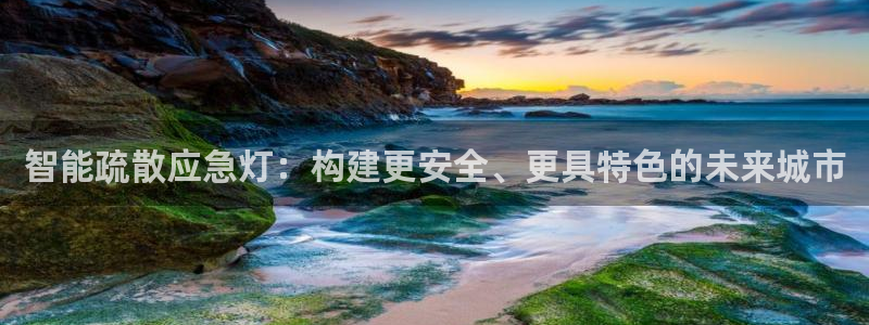 智能疏散应急灯：构建更安全、更具特色的未来城市