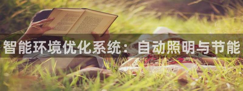 智能环境优化系统：自动照明与节能