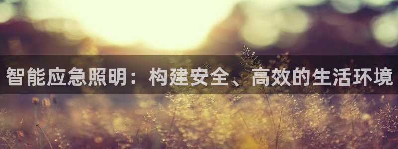 智能应急照明：构建安全、高效的生活环境