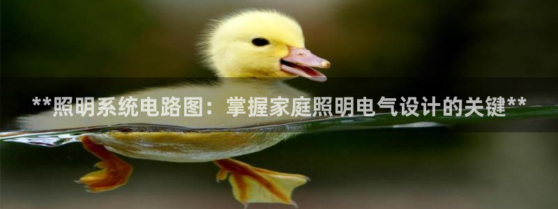 **照明系统电路图：掌握家庭照明电气设计的关键**