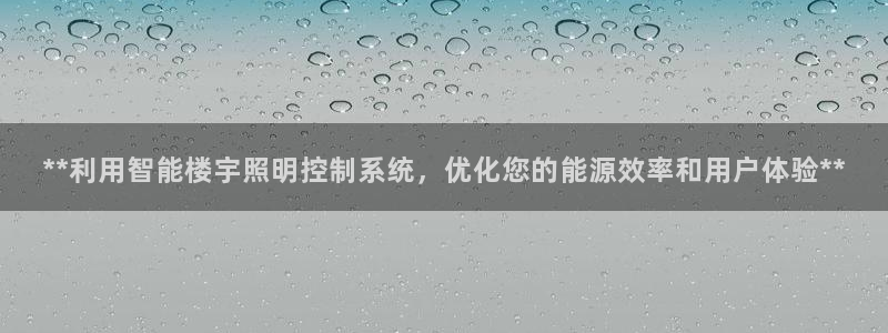 **利用智能楼宇照明控制系统，优化您的能源效率和用户体验**