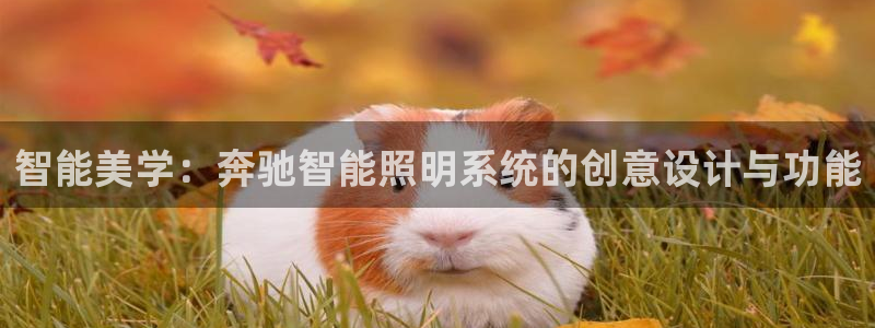 智能美学：奔驰智能照明系统的创意设计与功能