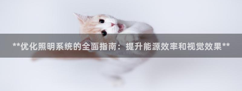 **优化照明系统的全面指南：提升能源效率和视觉效果**