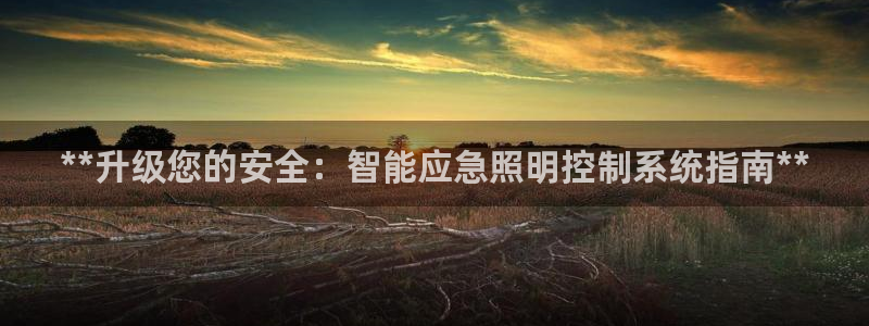 **升级您的安全：智能应急照明控制系统指南**