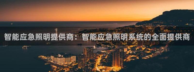 智能应急照明提供商：智能应急照明系统的全