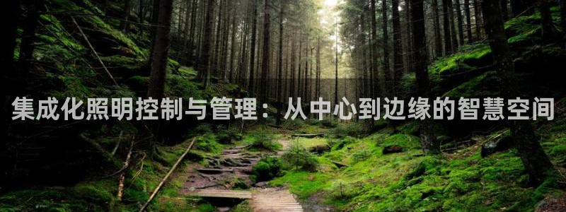 集成化照明控制与管理：从中心到边缘的智慧空间