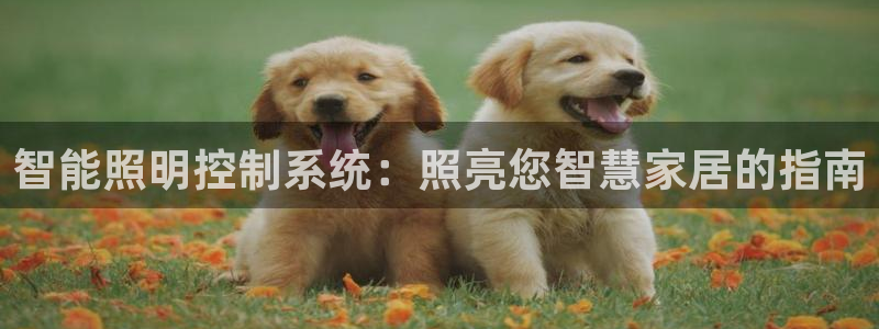 智能照明控制系统：照亮您智慧家居的指南