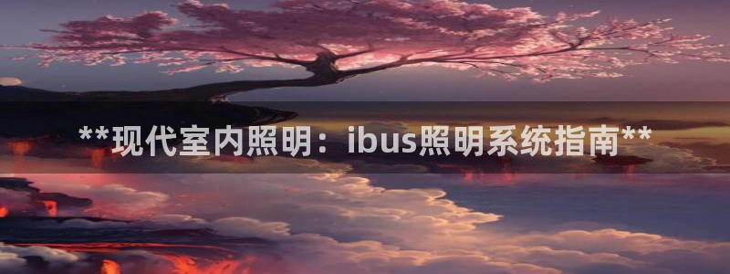 **现代室内照明：ibus照明系统指南**