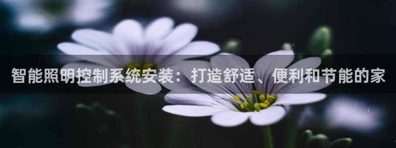 智能照明控制系统安装：打造舒适、便利和节能的家