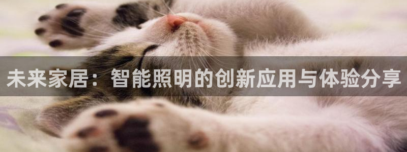 未来家居：智能照明的创新应用与体验分享