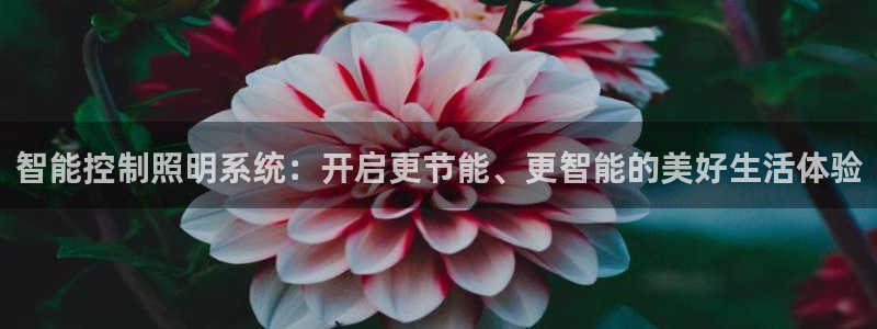 智能控制照明系统：开启更节能、更智能的美好生活体验