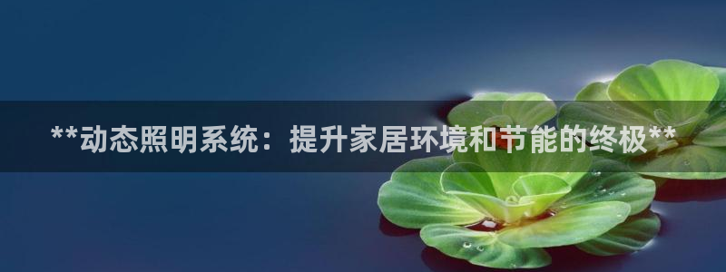 **动态照明系统：提升家居环境和节能的终极**